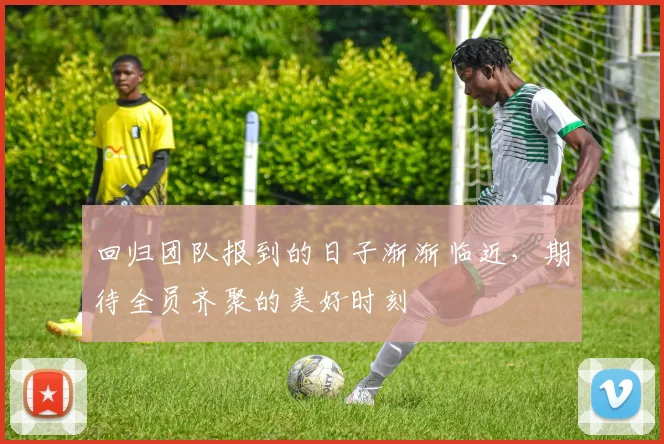 回归团队报到的日子渐渐临近，期待全员齐聚的美好时刻